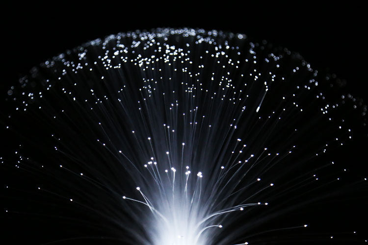 LED colorful fiber optic light
