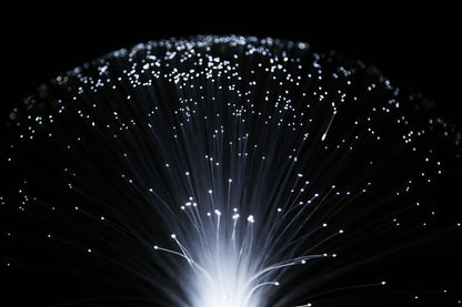 LED colorful fiber optic light