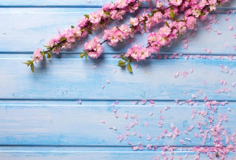 Photo Photography Background Cloth Studio Props