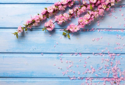 Photo Photography Background Cloth Studio Props