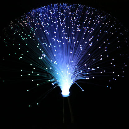 LED colorful fiber optic light