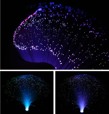 LED colorful fiber optic light