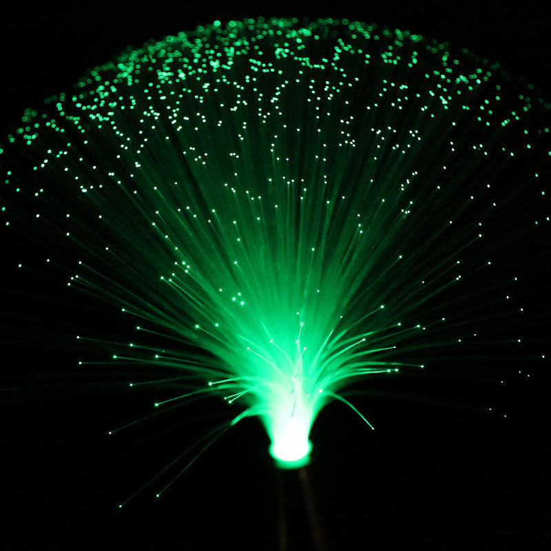 LED colorful fiber optic light