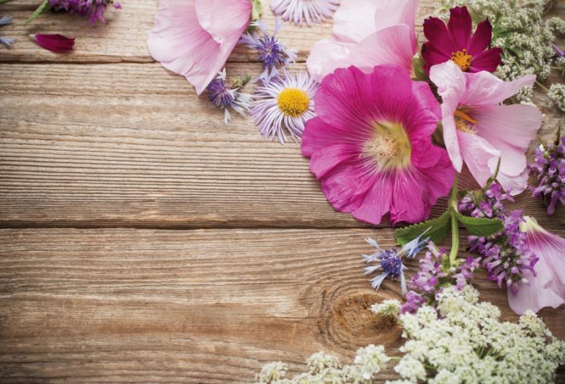 Photo Photography Background Cloth Studio Props