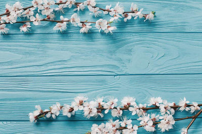 Photo Photography Background Cloth Studio Props