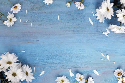 Photo Photography Background Cloth Studio Props