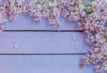 Photo Photography Background Cloth Studio Props