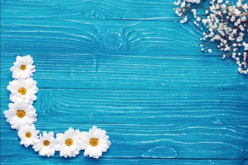 Photo Photography Background Cloth Studio Props