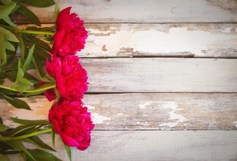 Photo Photography Background Cloth Studio Props